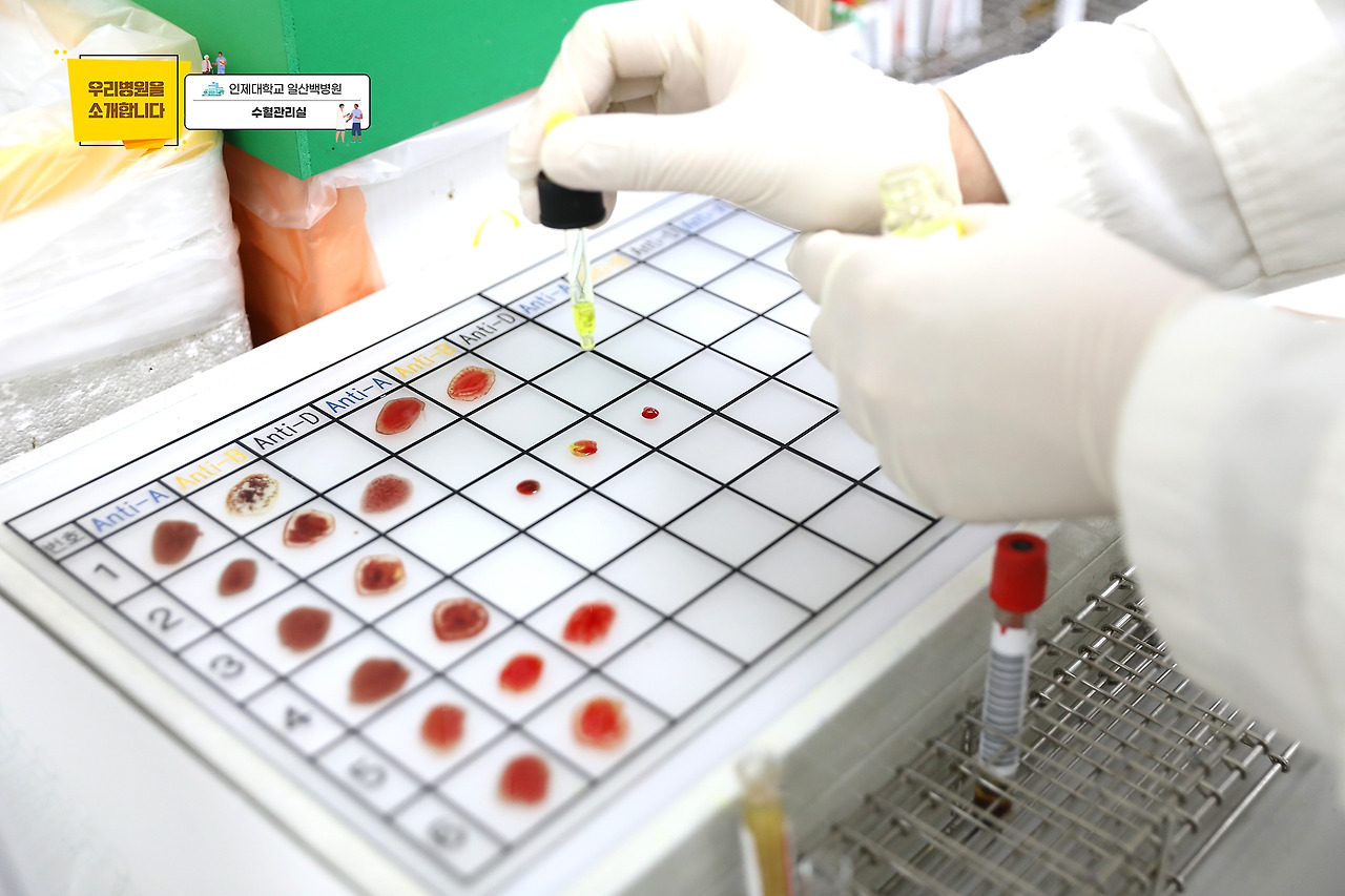 수혈관리실5.jpg