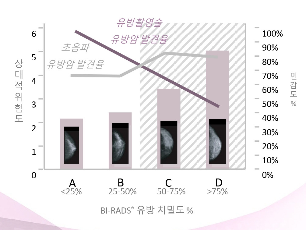 자동유방초음파 홍보자료3.jpg