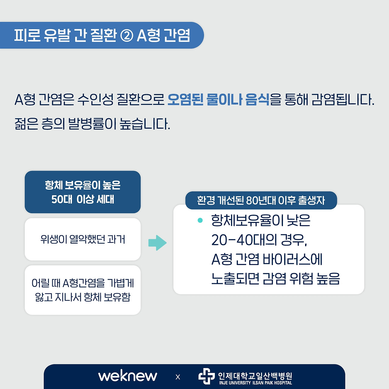 위뉴_간질환_소화기내과 김경아 교수 (5).jpg