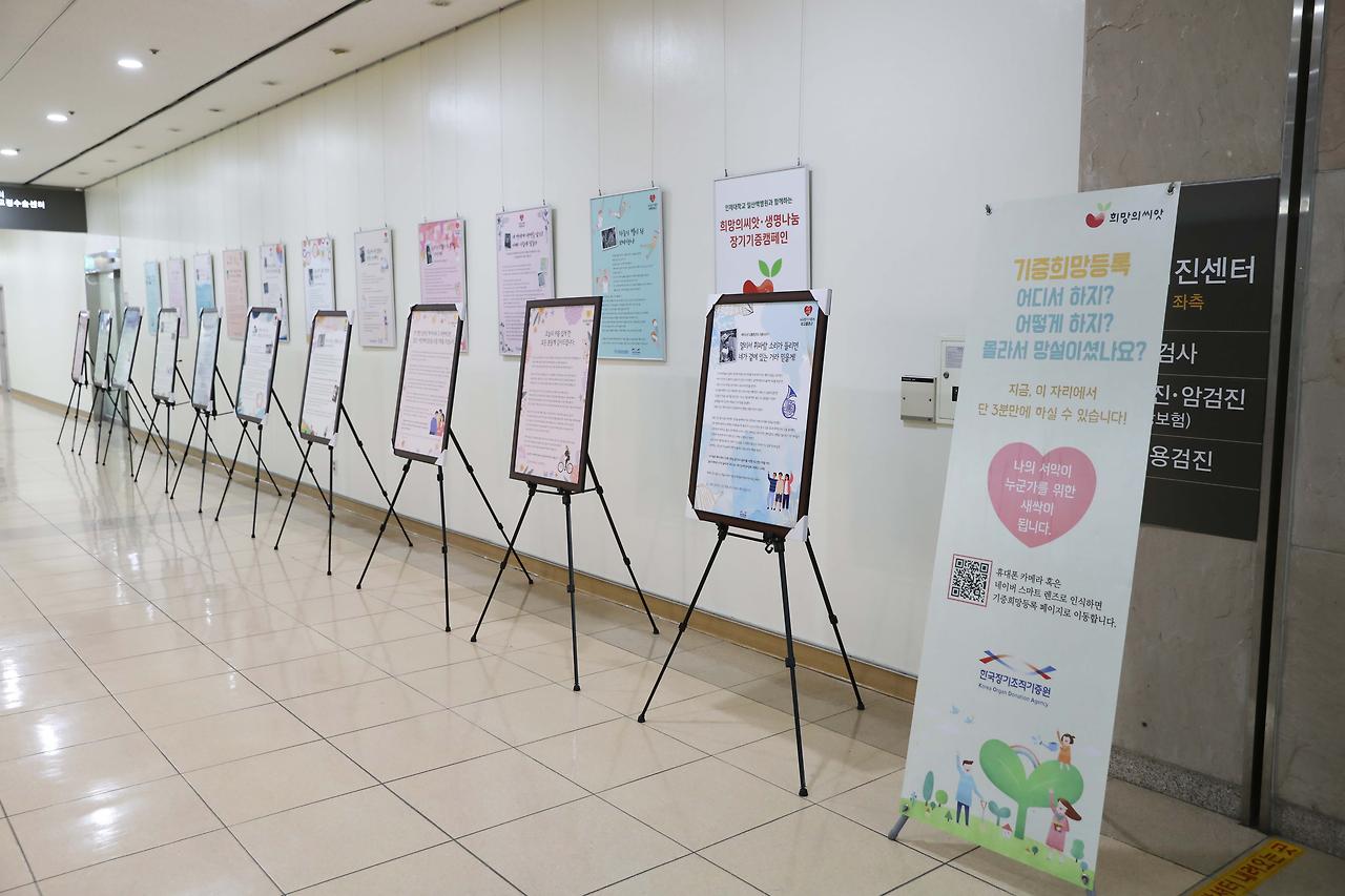 [자료사진1]일산백병원은 장기기증 홍보와 더불어 장기기증 공여자와 수혜자의 사연을 담은 생명나눔스토리전을 진행했다.jpg