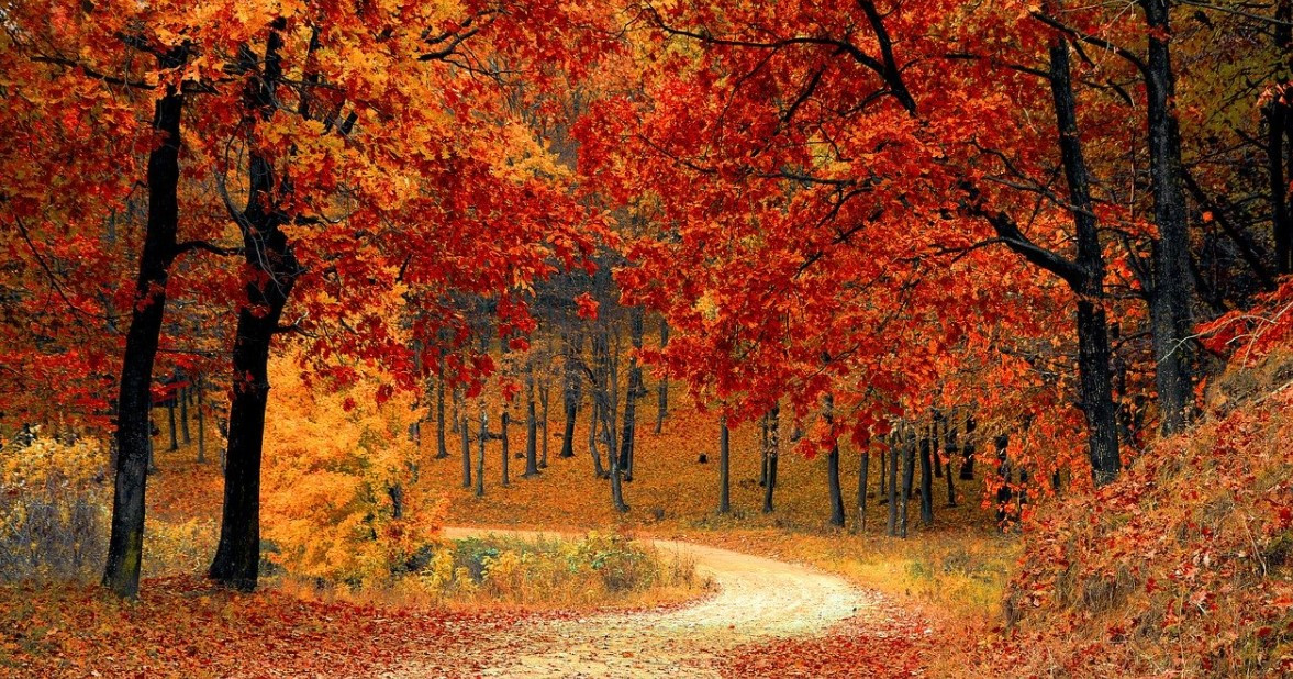 주석 2020-09-02 060731.jpg