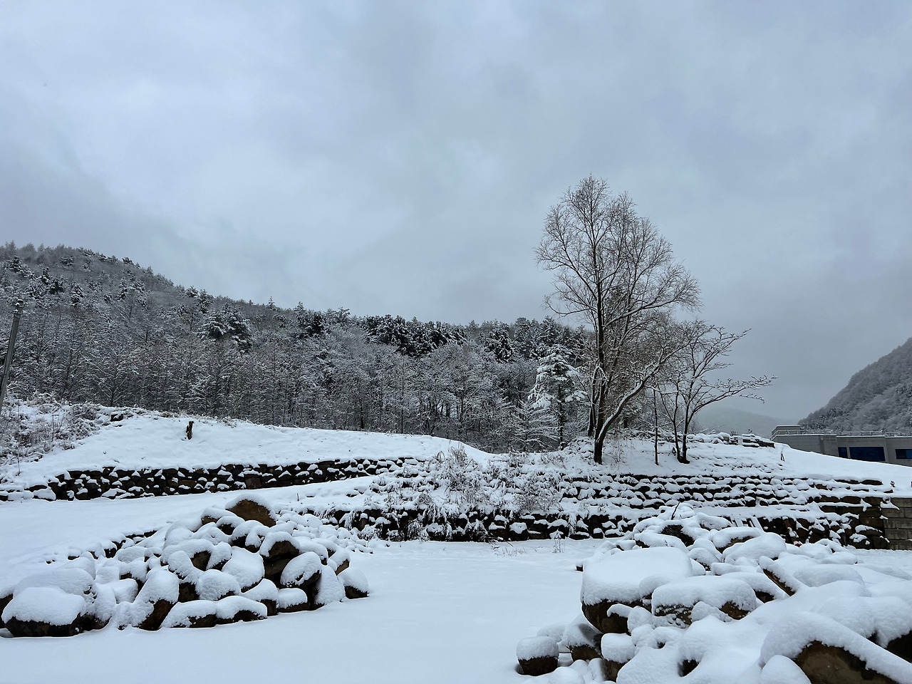 눈1.jpg