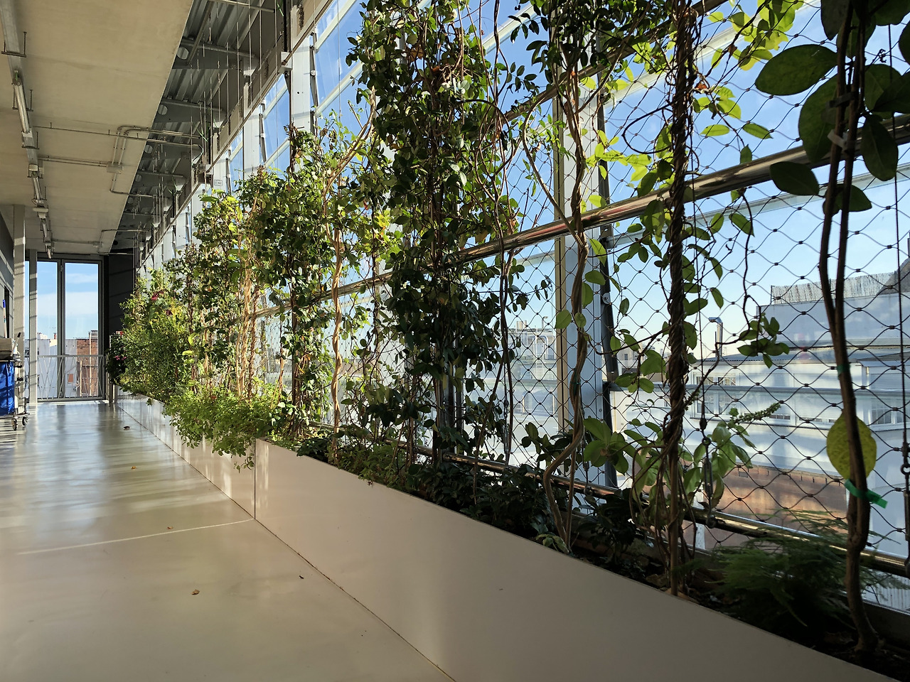 코스모카이사과학관 (2).jpg