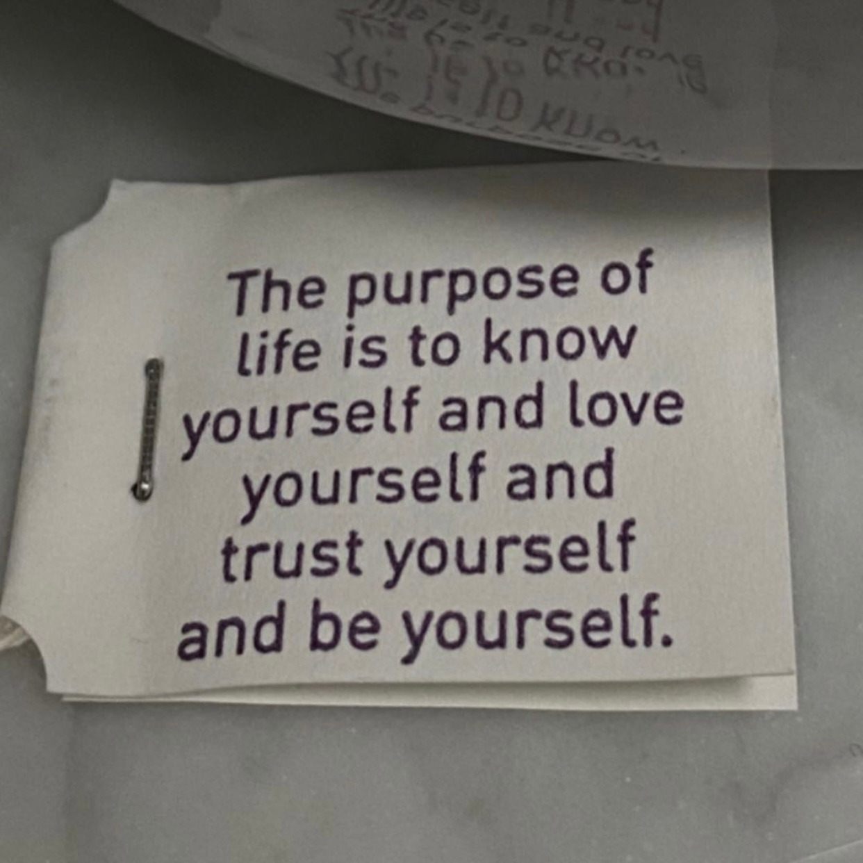 21. 콤플렉스.jpg