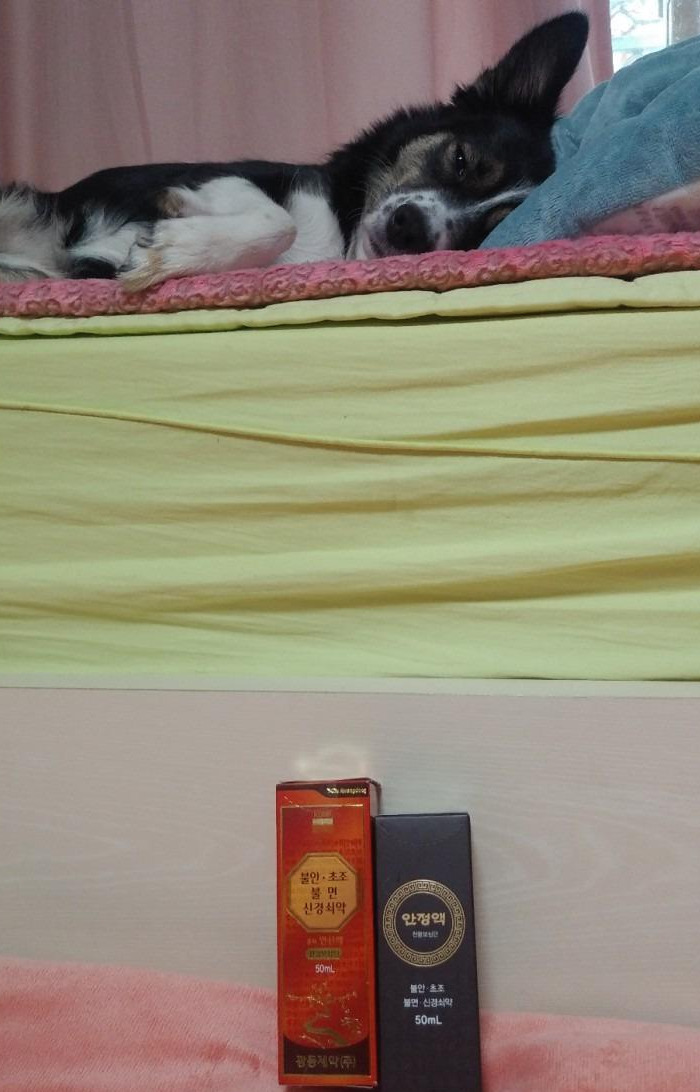 안정액2.jpg