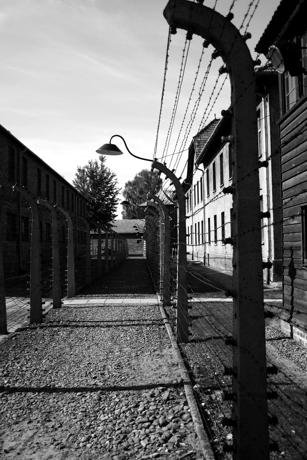 auschwitz-402328_1920.jpg