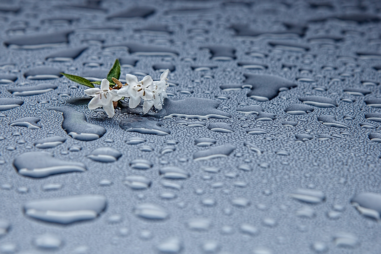 rain-drops-412465.jpg
