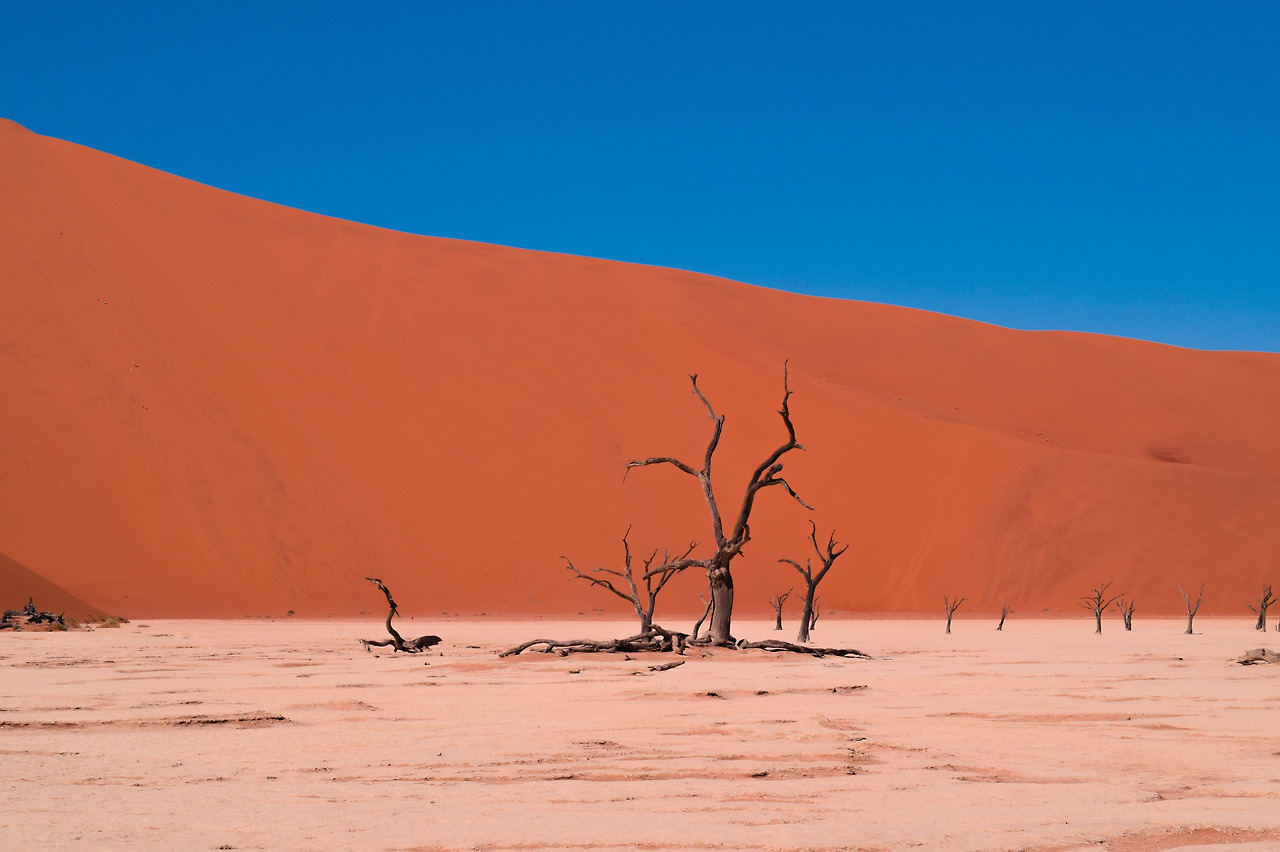 arid-1836602.jpg
