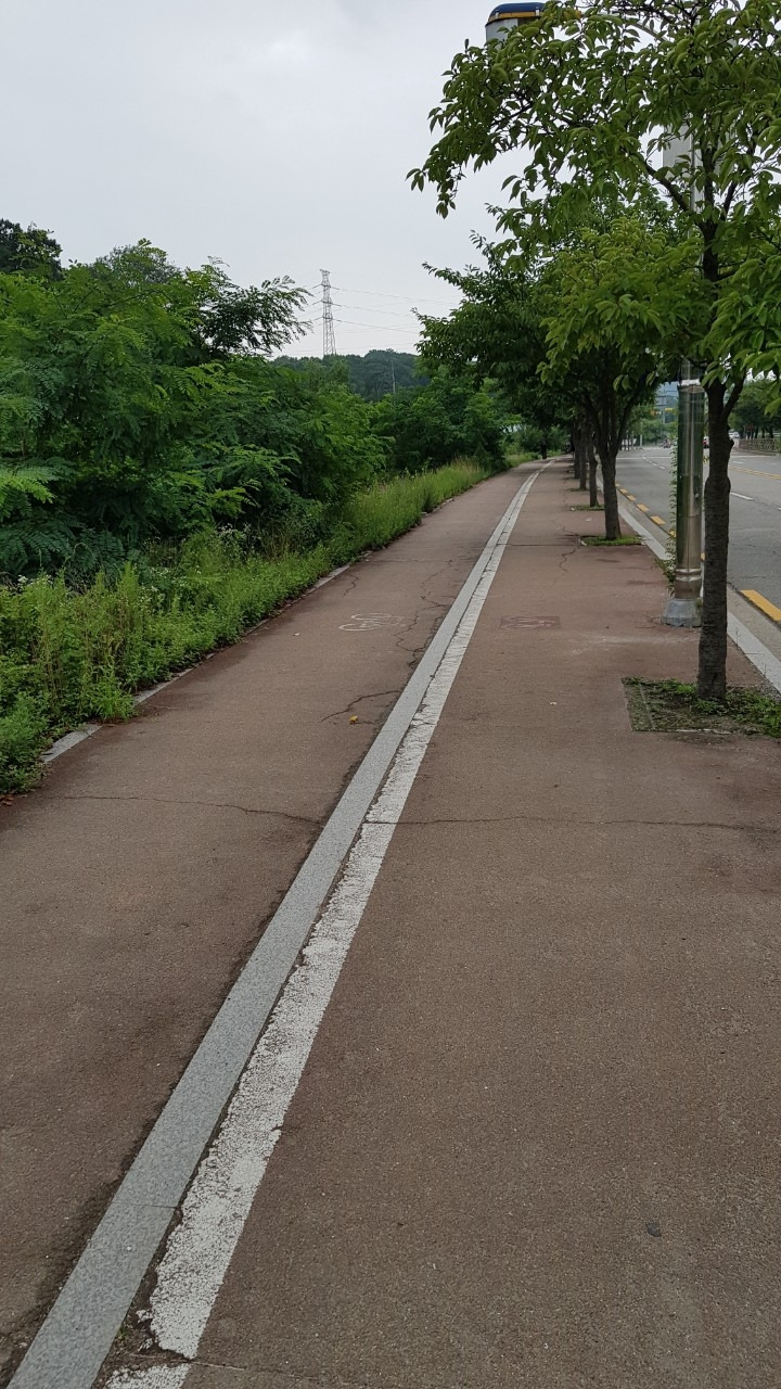 자전거도로.jpg