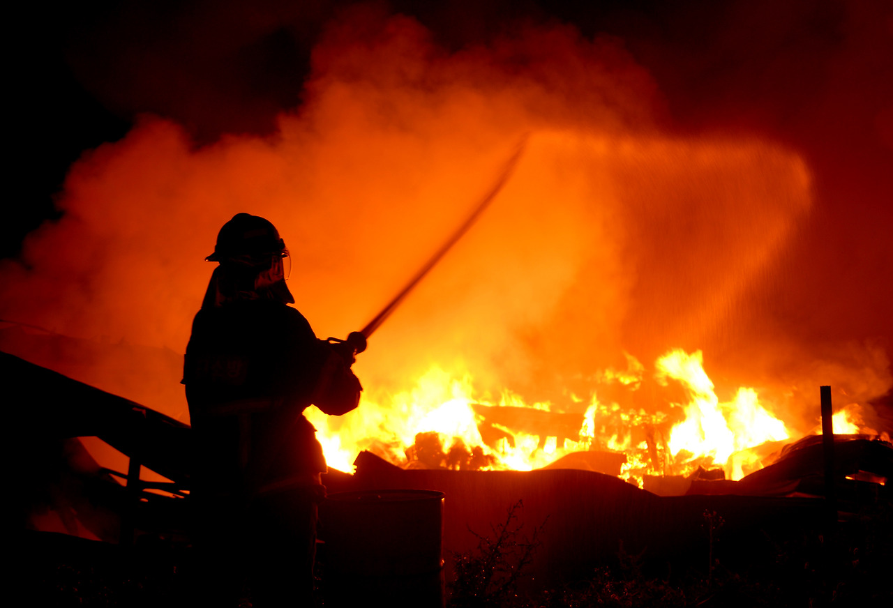 입상-정우원 -화마.jpg