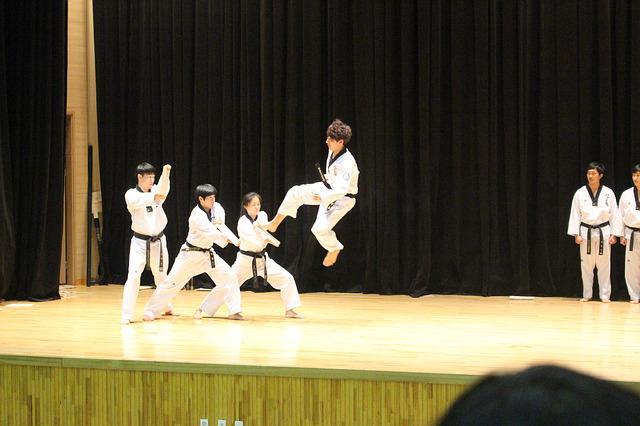 taekwondo-gc96af0449_640.jpg