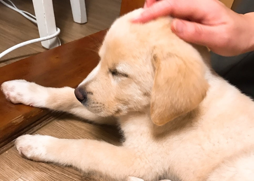 또복이 어릴적_02.jpg