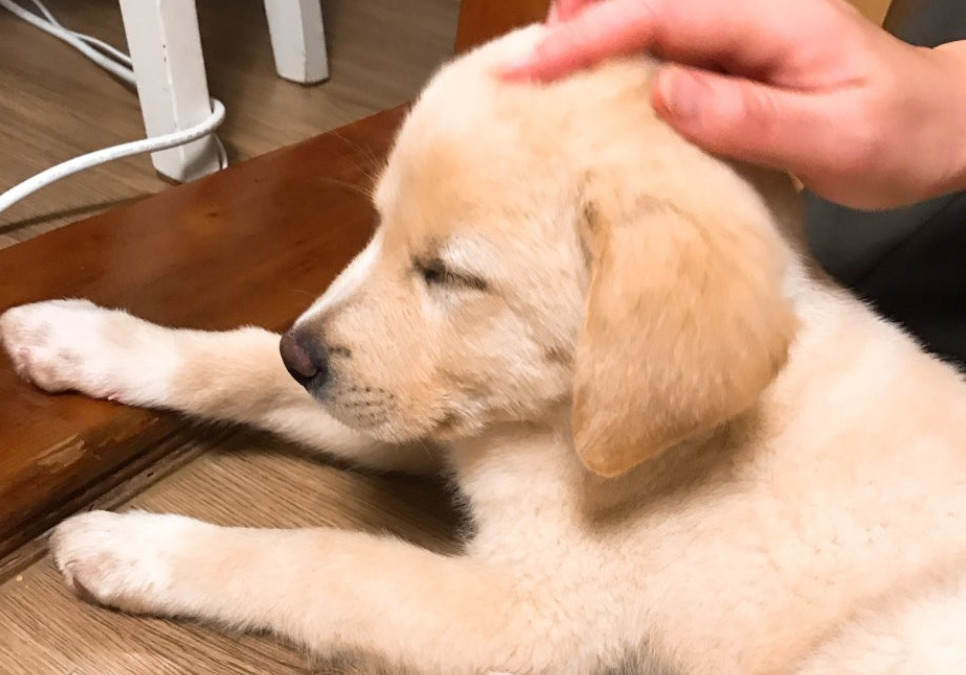 또복이 어릴적.jpg