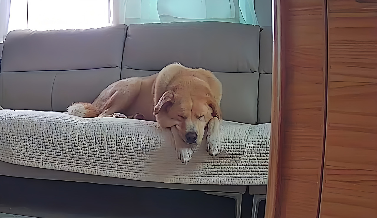 IMG_8590_Image Enhancer.jpg