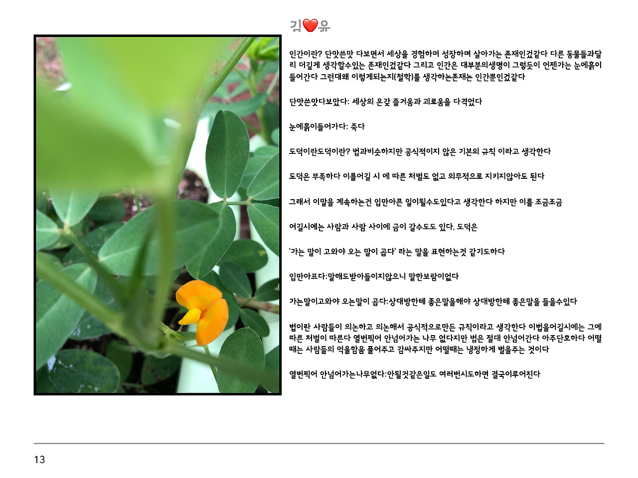 인간 법 도덕의 정의 2019-13.jpg