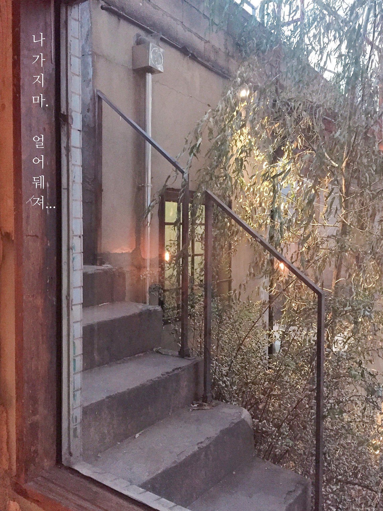 IMG_2359 사본.jpg