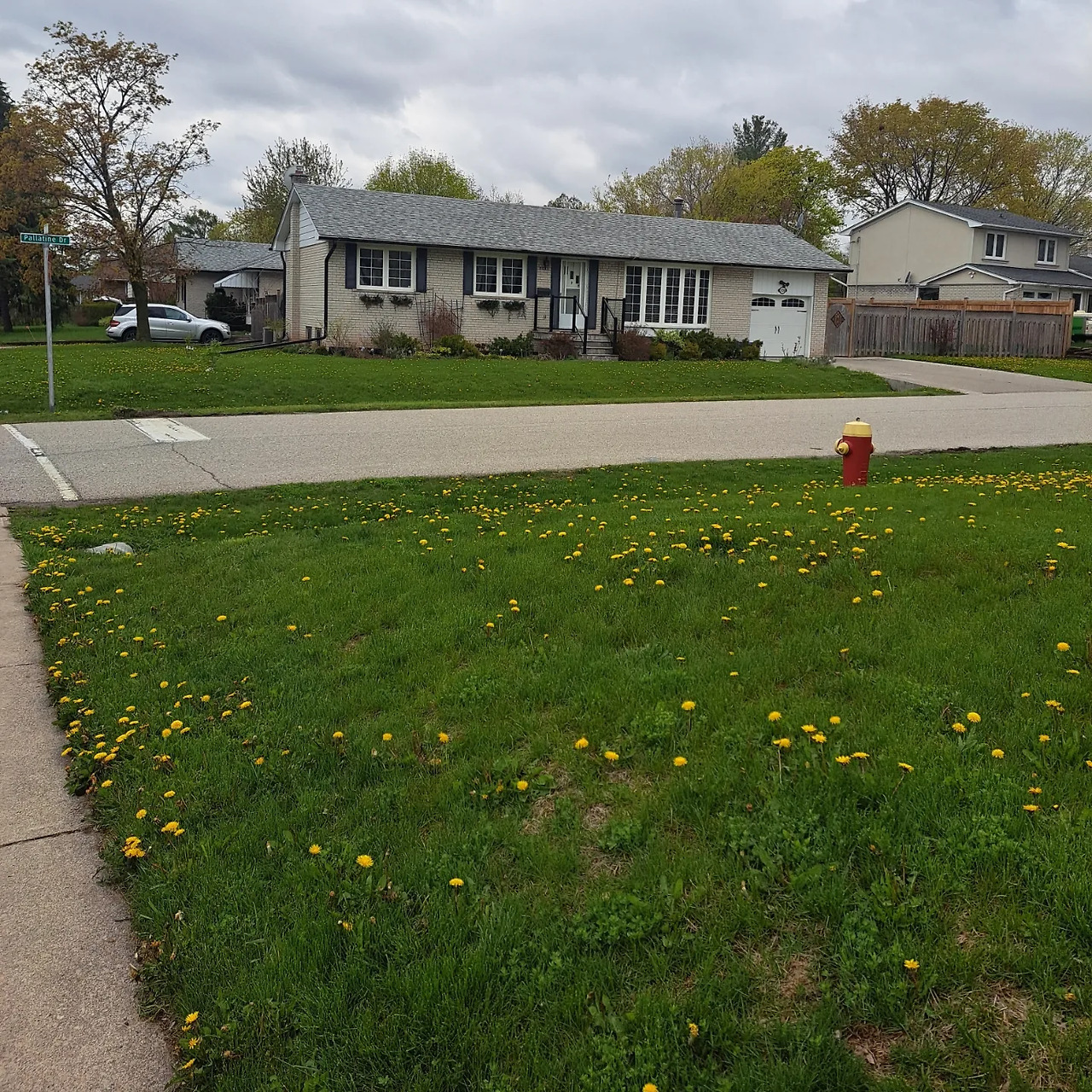 IMG_20230504_222856_056 (1).jpg