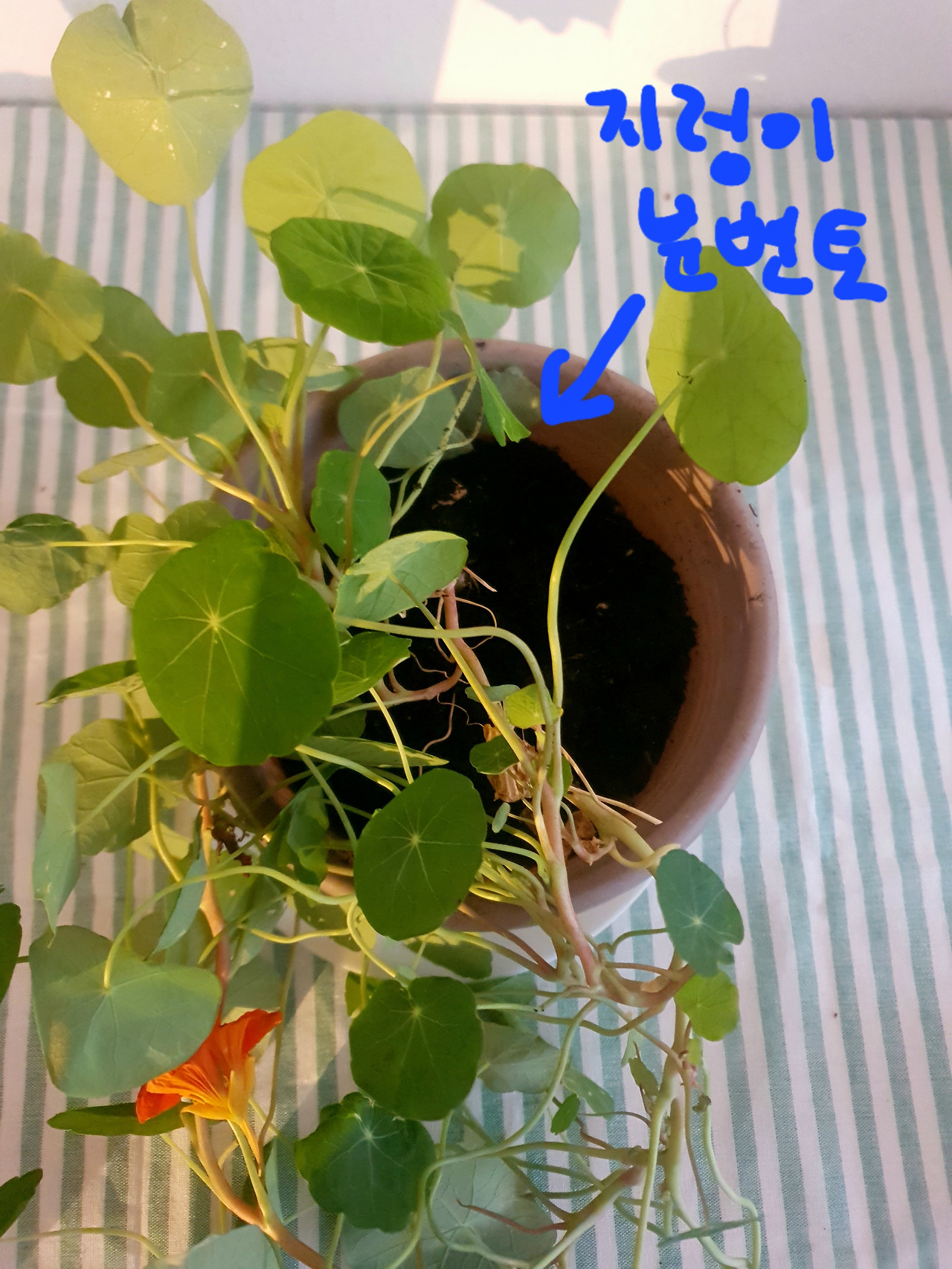 20231127_114201 (1).jpg