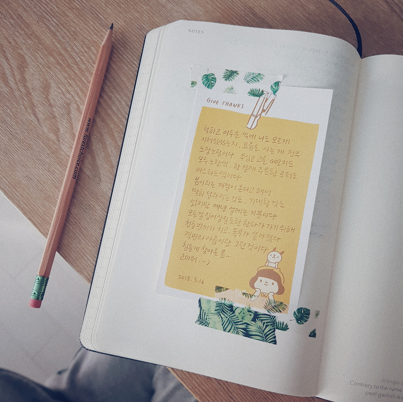 2018-03-16 02.44.55 1.jpg