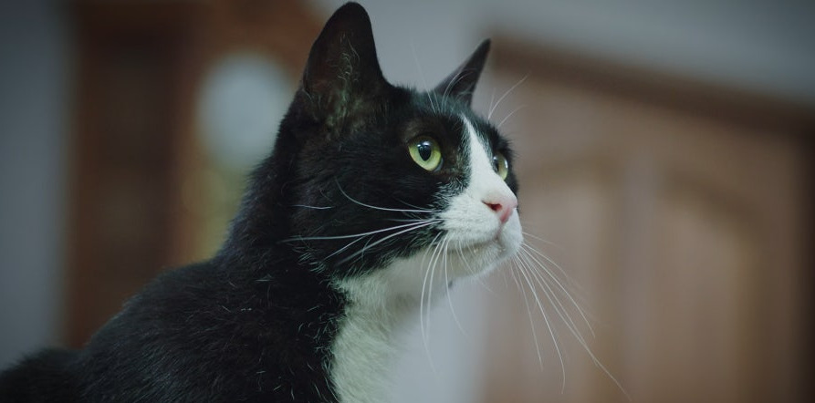 천국보다 아름다운 쏘냐2.jpg