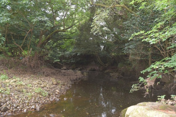 남원읍 신례리 올리소.jpg