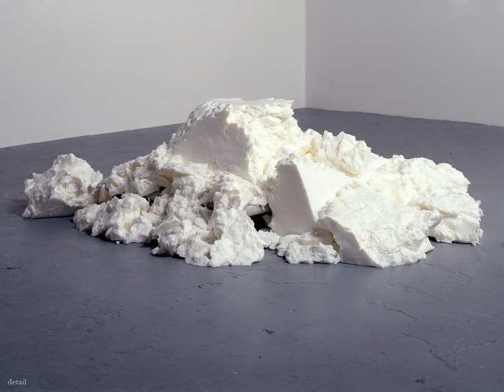 재닌 안토니, 갉다.jpg