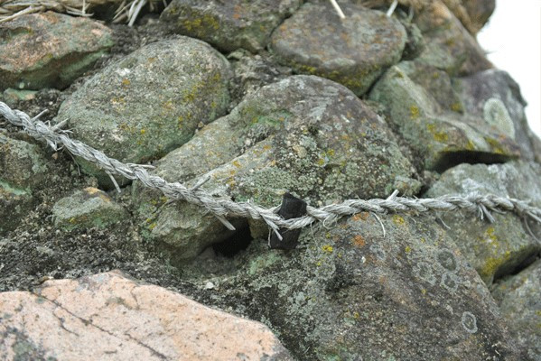 제원면 할머니탑2.jpg