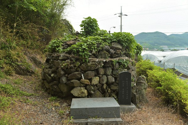 추부면 신평리 돌탑2.jpg