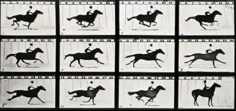 움직이는 말.jpg