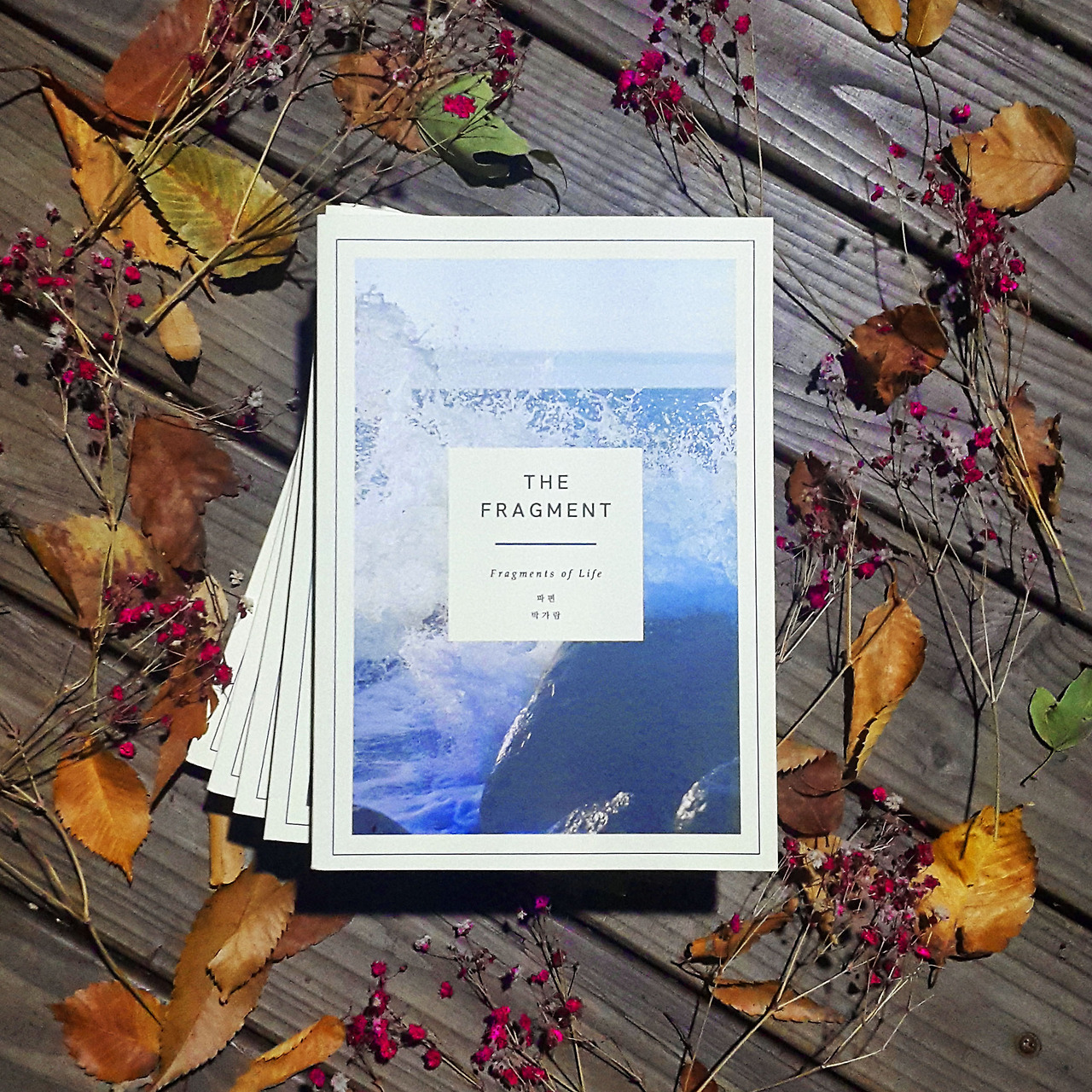 파편_박가람_책표지.jpg