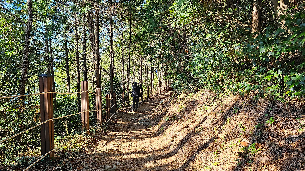 통영_세자트라숲_남파랑길 (8).jpg