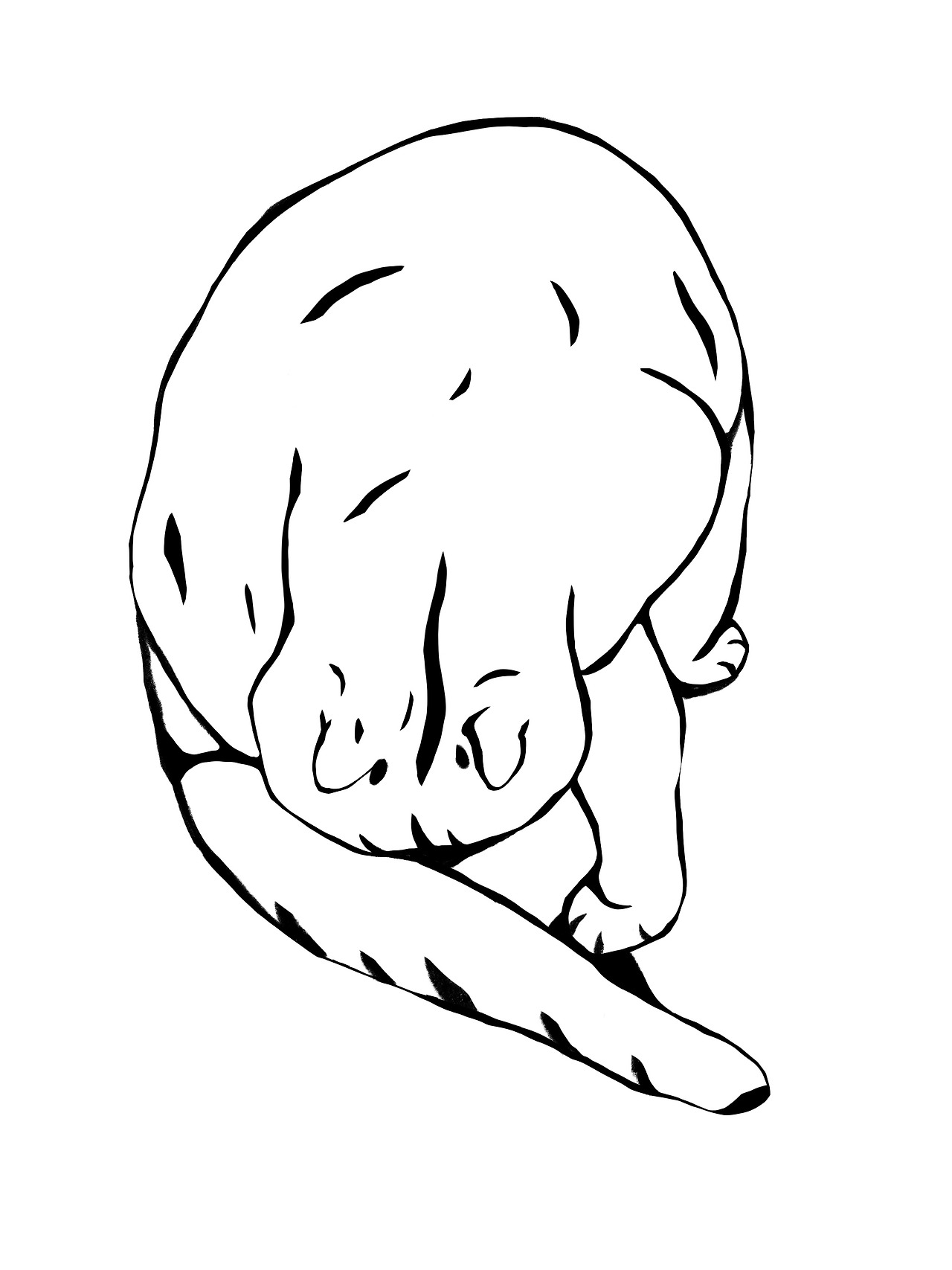 제목_없는_아트워크 10.jpg