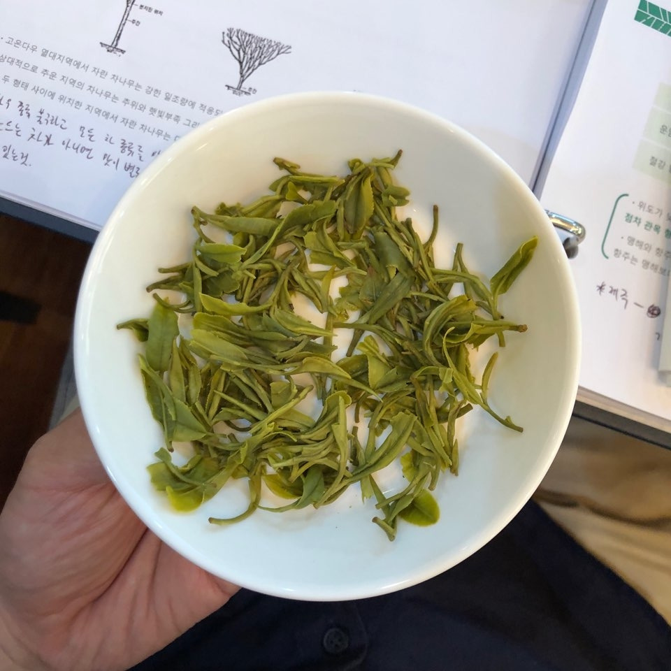 찻잎.jpg