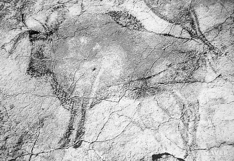 알타미라 동굴벽화.jpg