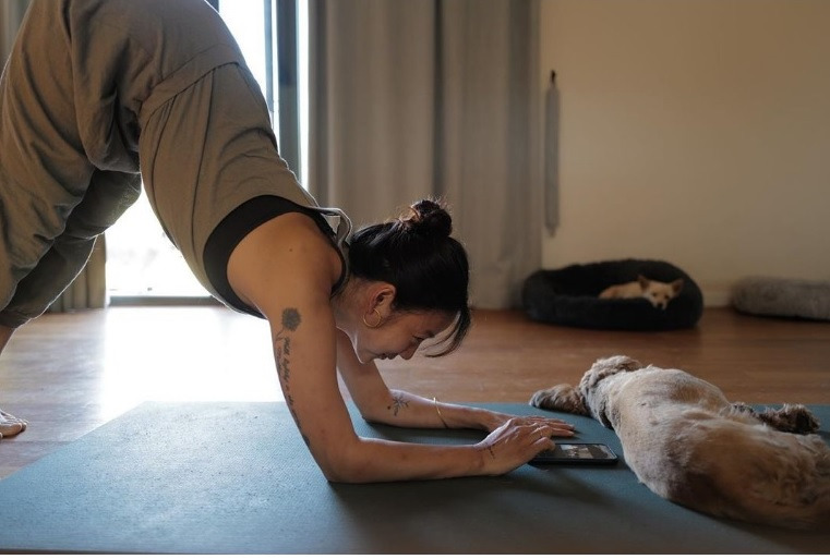 이효리 돌핀.jpg