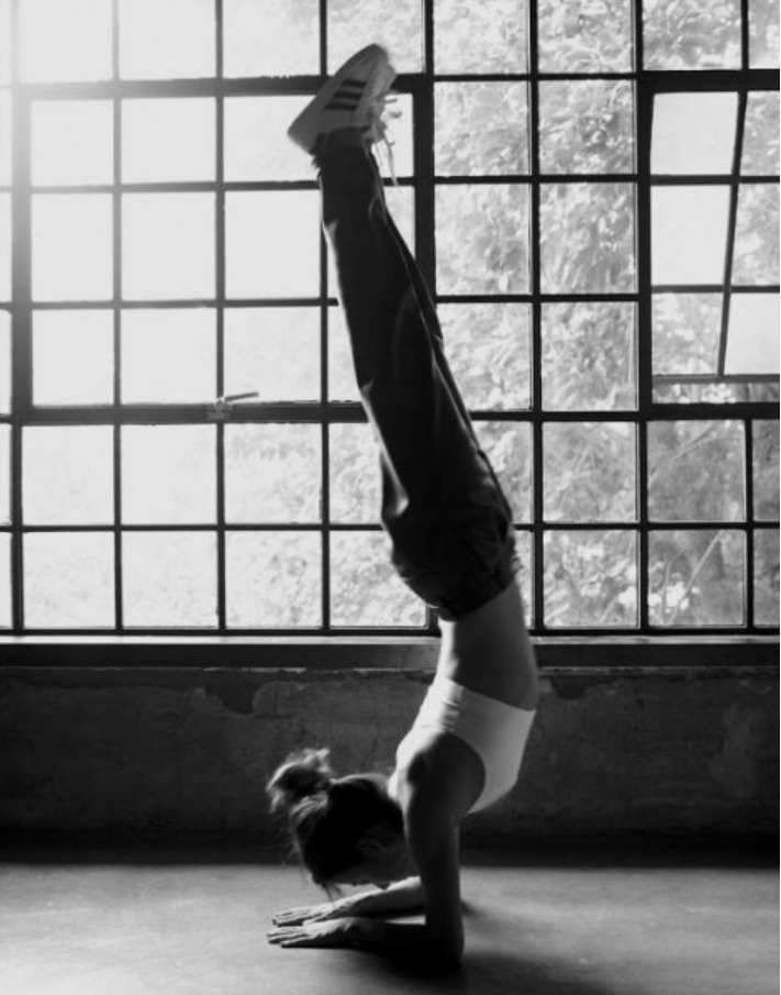 이효리 핀차.jpg