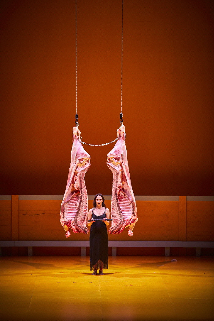 Liebestod © Christophe Raynaud de Lage 3.jpg