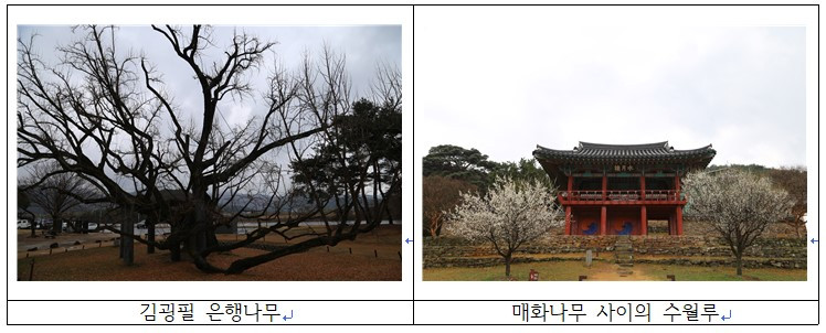 화면 캡처 2022-10-09 174524.jpg