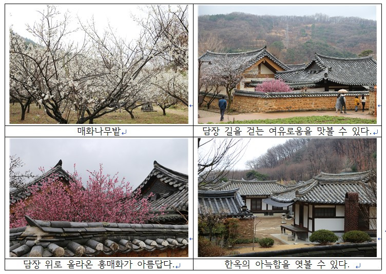 화면 캡처 2022-10-09 174402.jpg