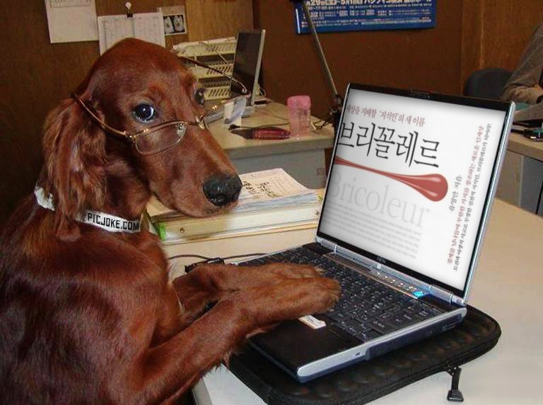 브리꼴레르 강아지.jpg