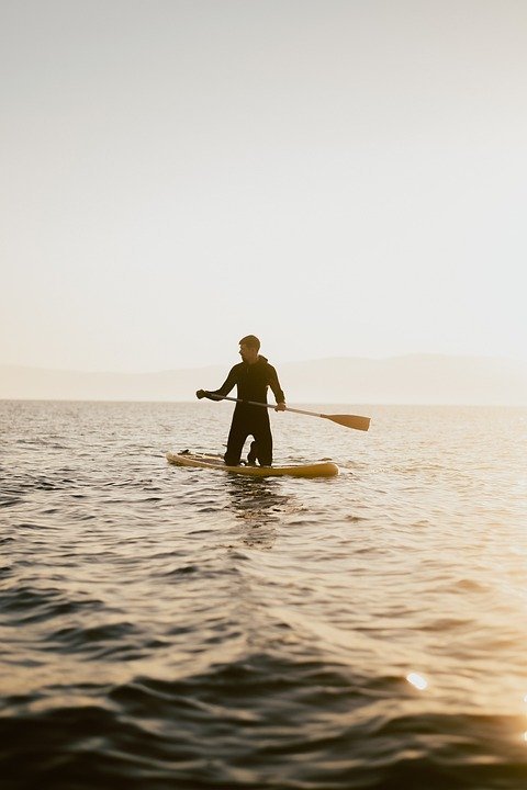 standup-paddleboarding-7210815_960_720.jpg
