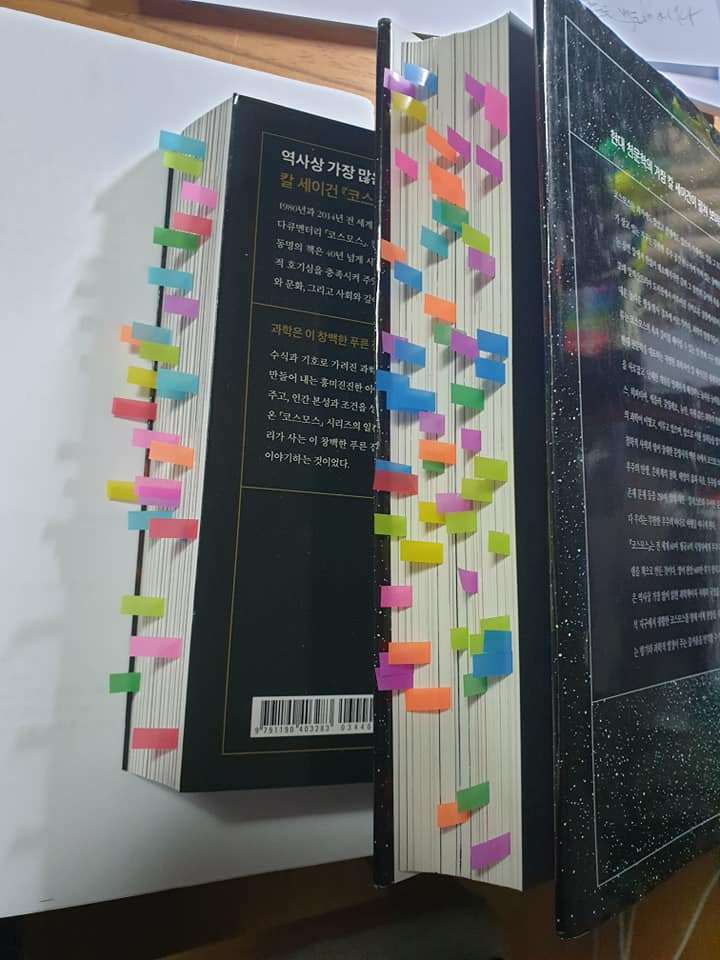 코스모스 색라피.jpg