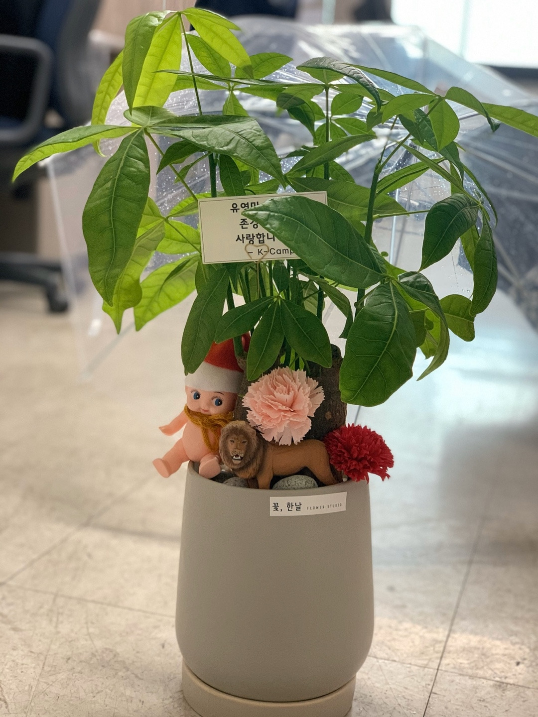 스승의날 사자.jpg