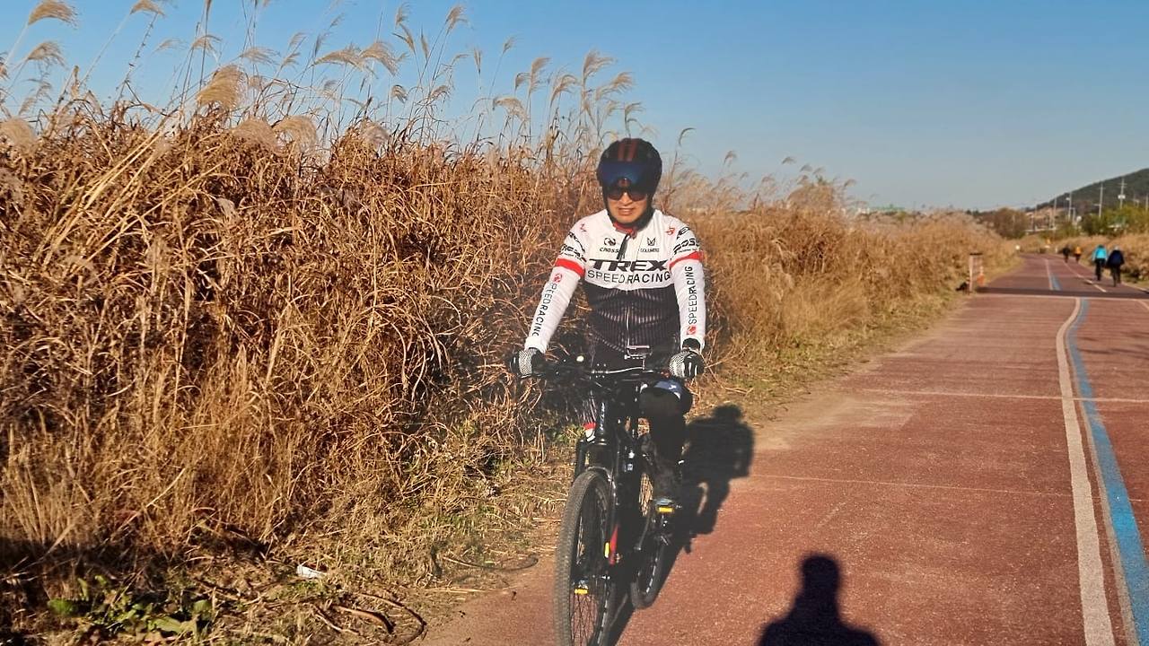 담양 가는 길 억새.jpg