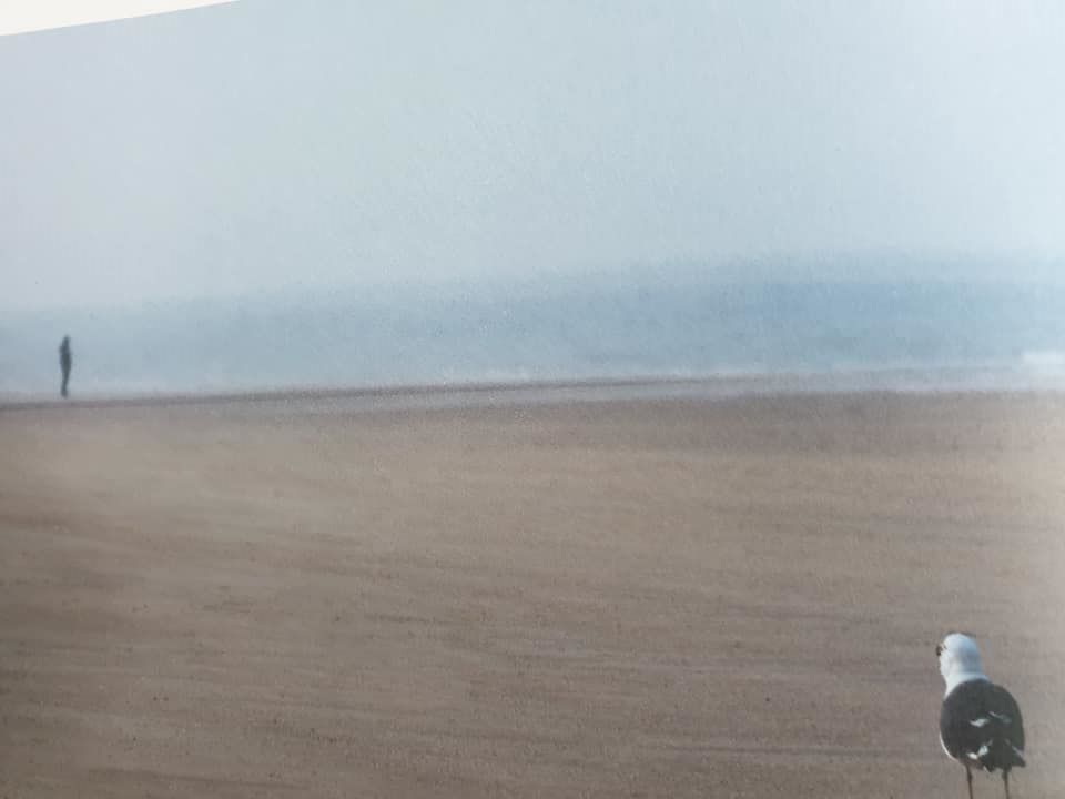 왅벽한 외로움.jpg