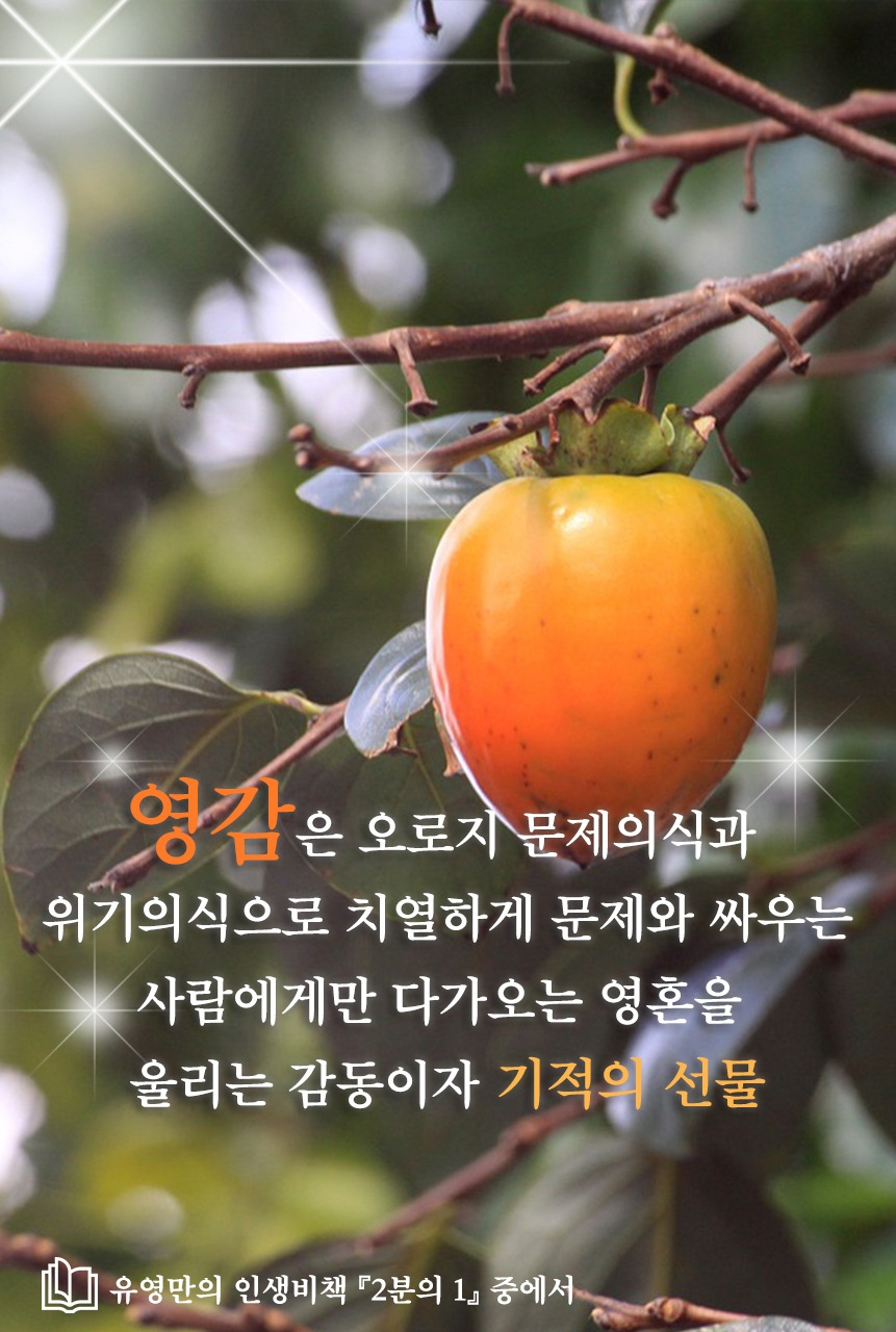 2분의 1 이미지 2.jpg