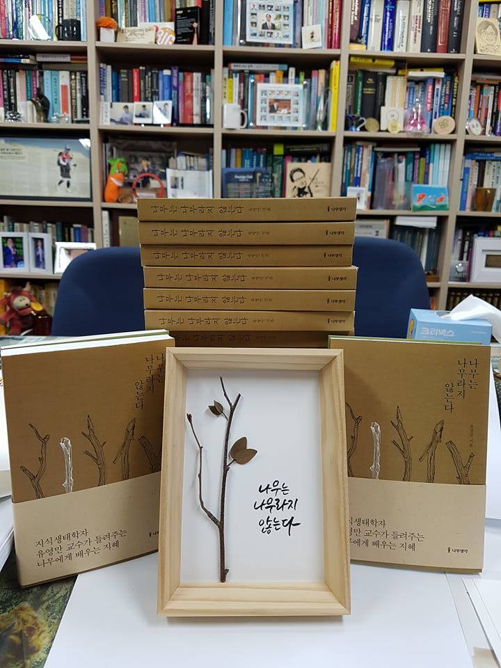 나무 캘리 액자1.jpg