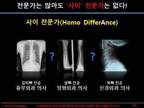 사이 전문가.jpg