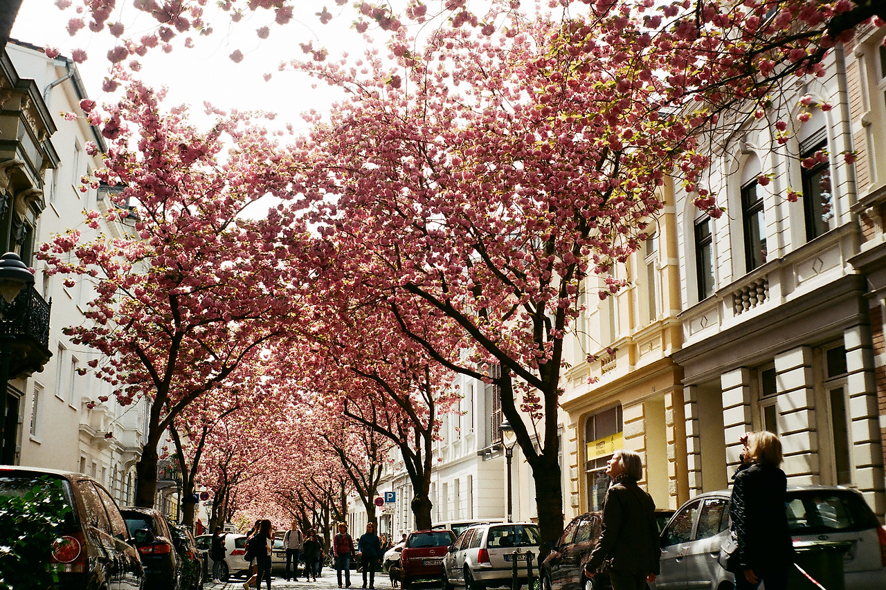 000003510016 copy.jpg