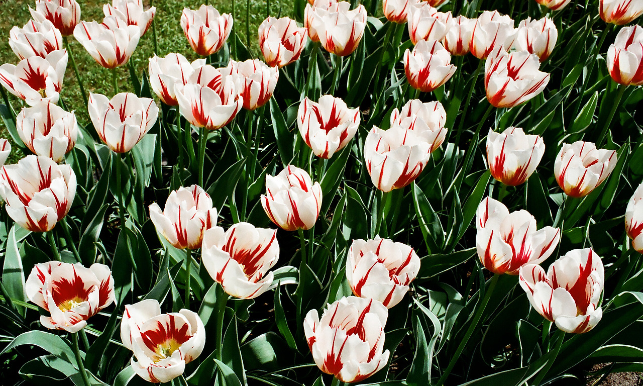 000003690013 copy.jpg